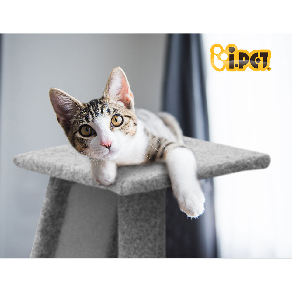 i.Pet Cat Tree 82cm Trees Scratching Post Scratcher Tower Condo House Furniture Wood Slide - KRE Group