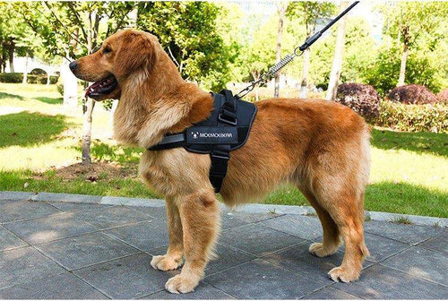 Adjustable Dog Harness Vest Chest Walk Out L BLACK - KRE Group