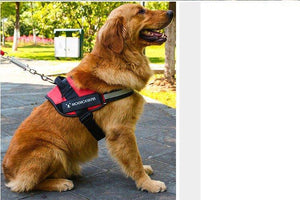 Adjustable Dog Harness Vest Chest Walk Out M RED - KRE Group