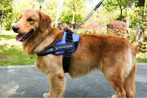 Adjustable Dog Harness Vest Chest Walk Out M BLUE - KRE Group