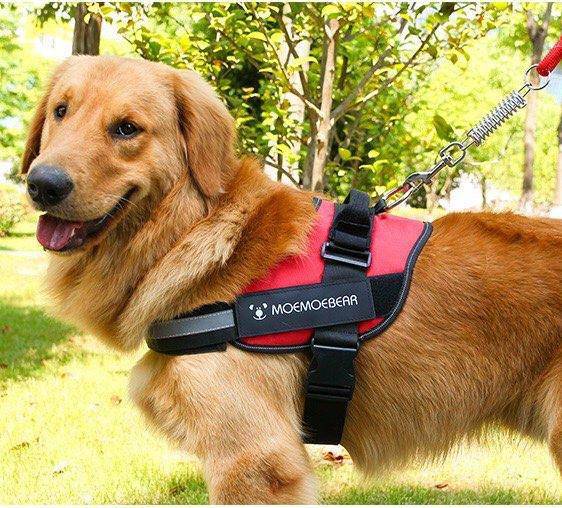 Adjustable Dog Harness Vest Chest Walk Out M RED - KRE Group