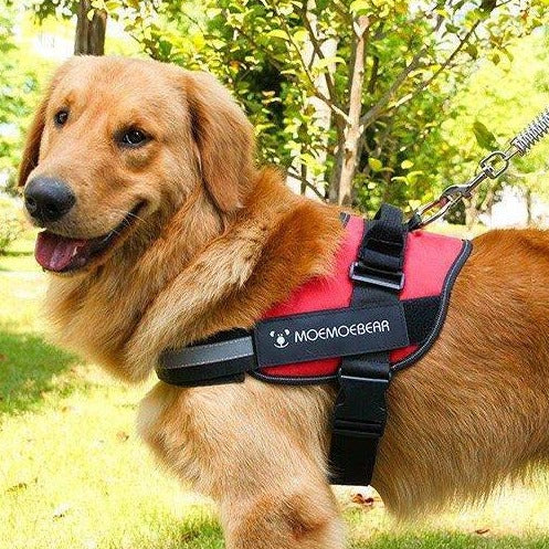 Adjustable Dog Harness Vest Chest Walk Out XL RED - KRE Group