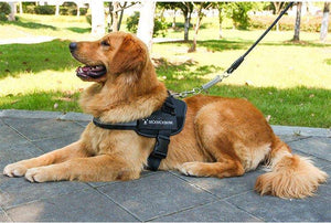 Adjustable Dog Harness Vest Chest Walk Out XL BLACK - KRE Group