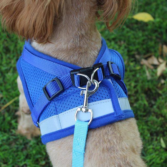 Dog Cat Harnesses Vest - KRE Group