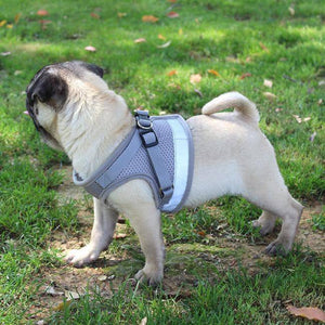 Dog Cat Harnesses Vest Reflective Safety and Leash Set S Blue - KRE Group