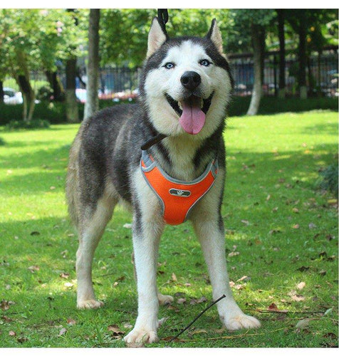 Dog Harness Vest Adjustable Reflective Breathable Mesh Orange L - KRE Group