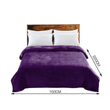 DreamZ 320GSM 220x160cm Ultra Soft Mink Blanket Warm Throw in Aubergine Colour - KRE Group